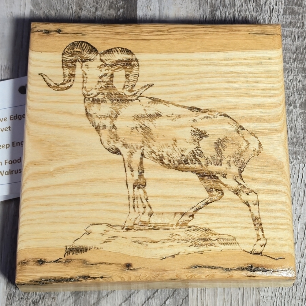 Boutique Artisan Made Engraved Premium Cherry Wood BC Mountain Sheep Trivet NEW